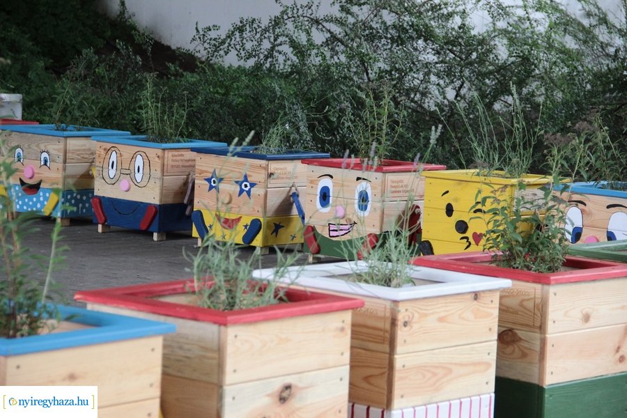 Kneipp sétány átadó