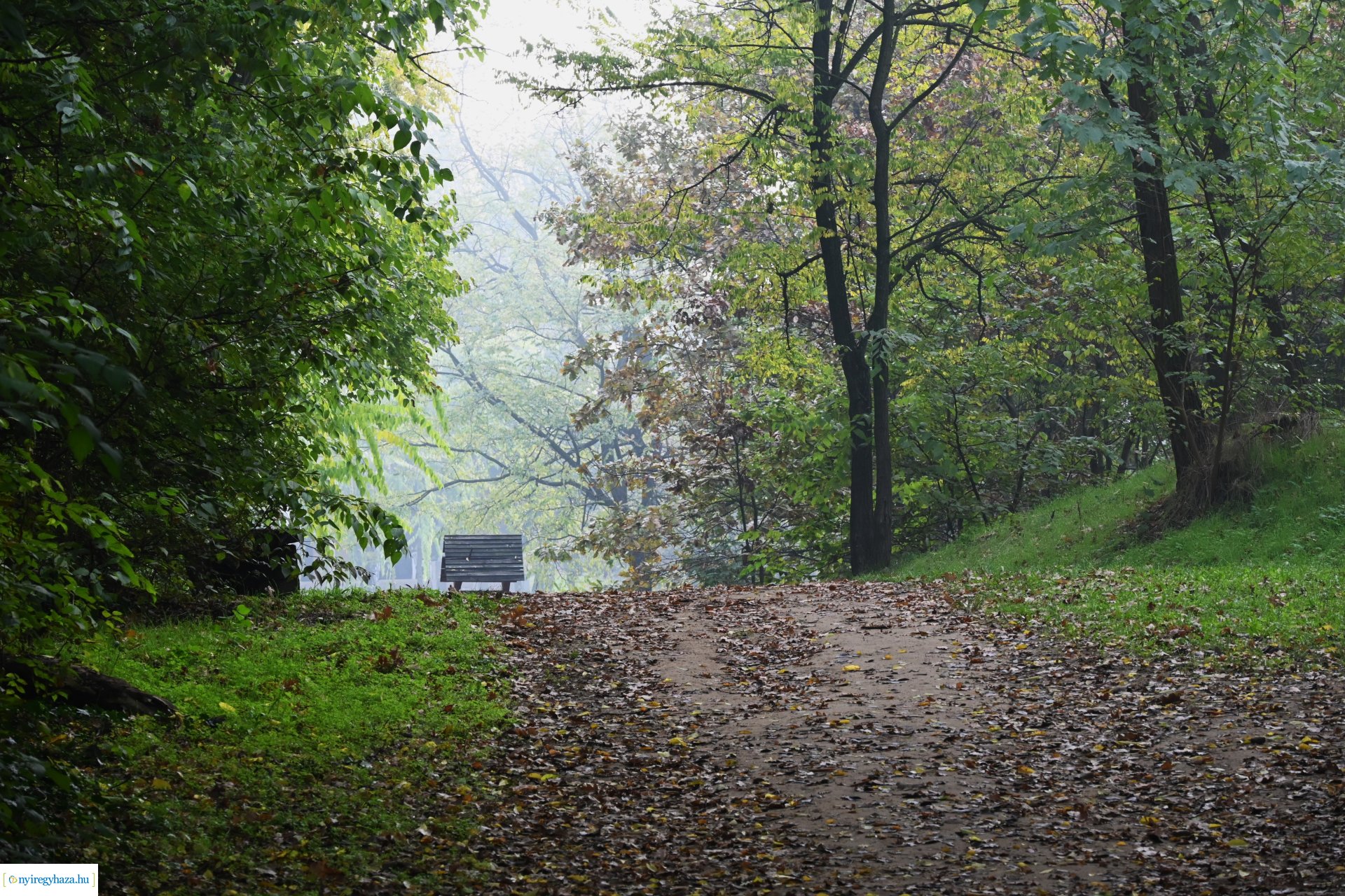 Ködös reggel a Sóstói erdőben