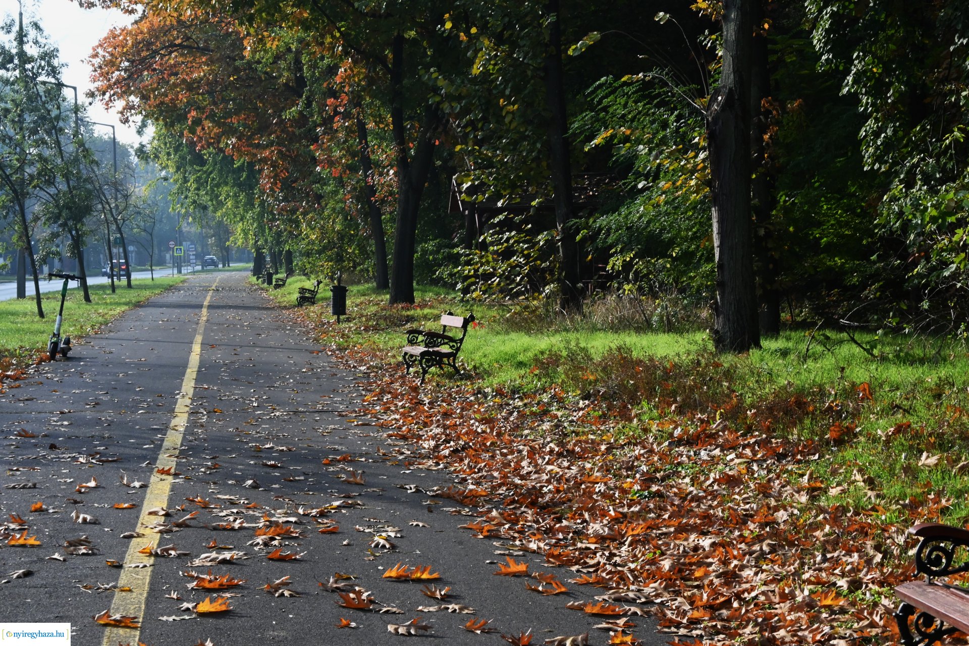 Ködös reggel a Sóstói erdőben