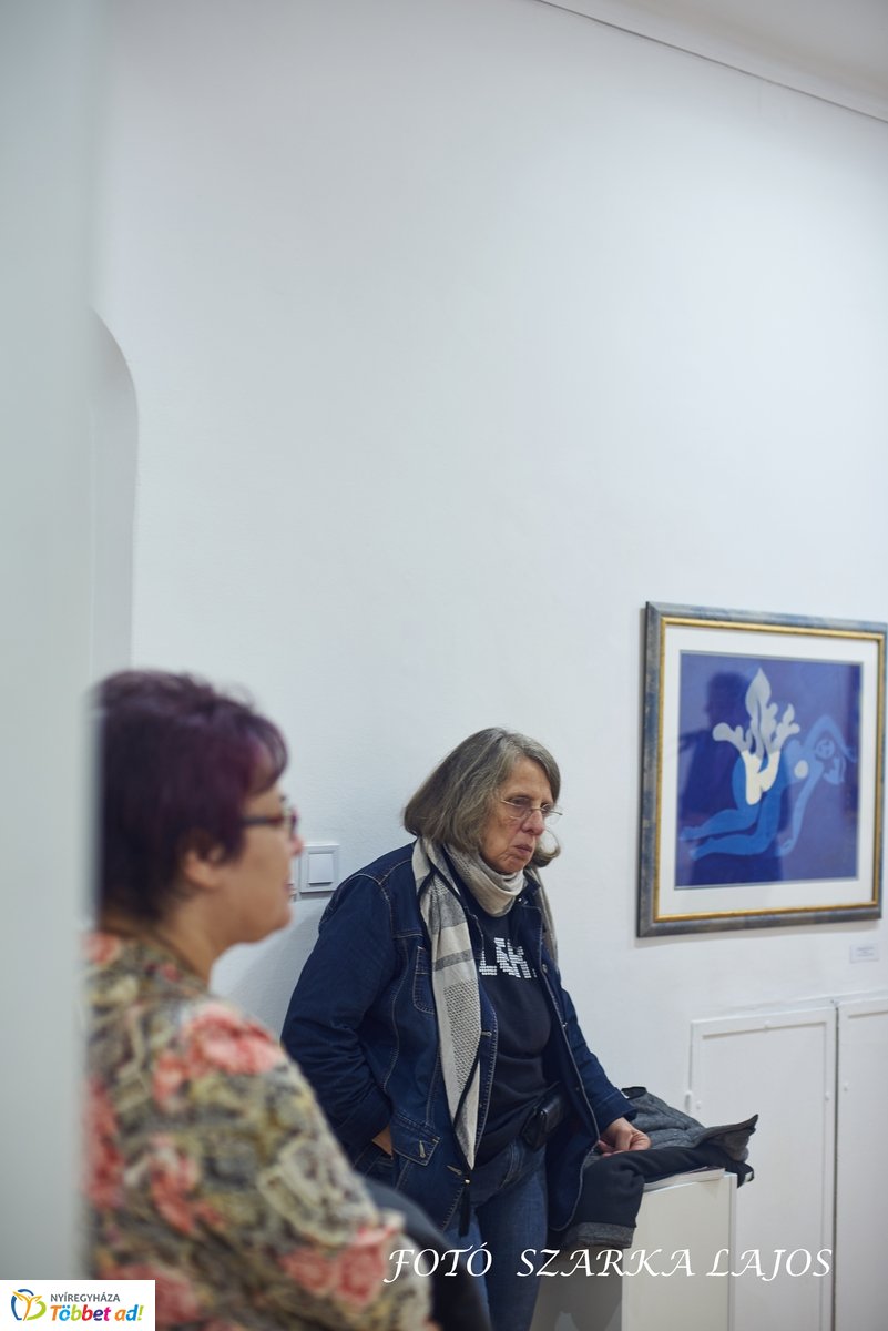 Kollár gyűjtemény a Városi Galériában