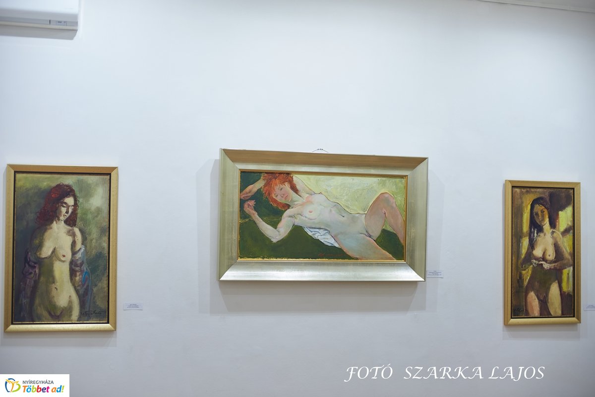 Kollár gyűjtemény a Városi Galériában