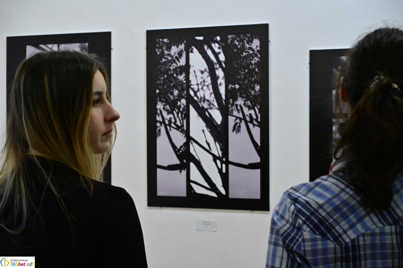 Kollektíven a Városi Galériában 2026 januárjában