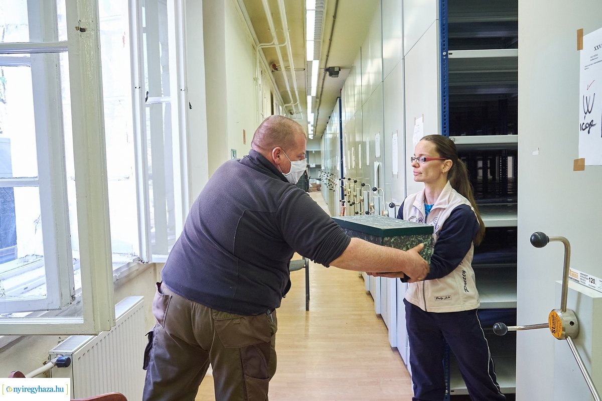 Költözik a régészeti osztály