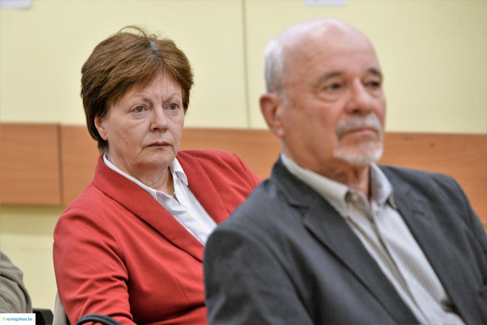 Könyvtárosok elismerése