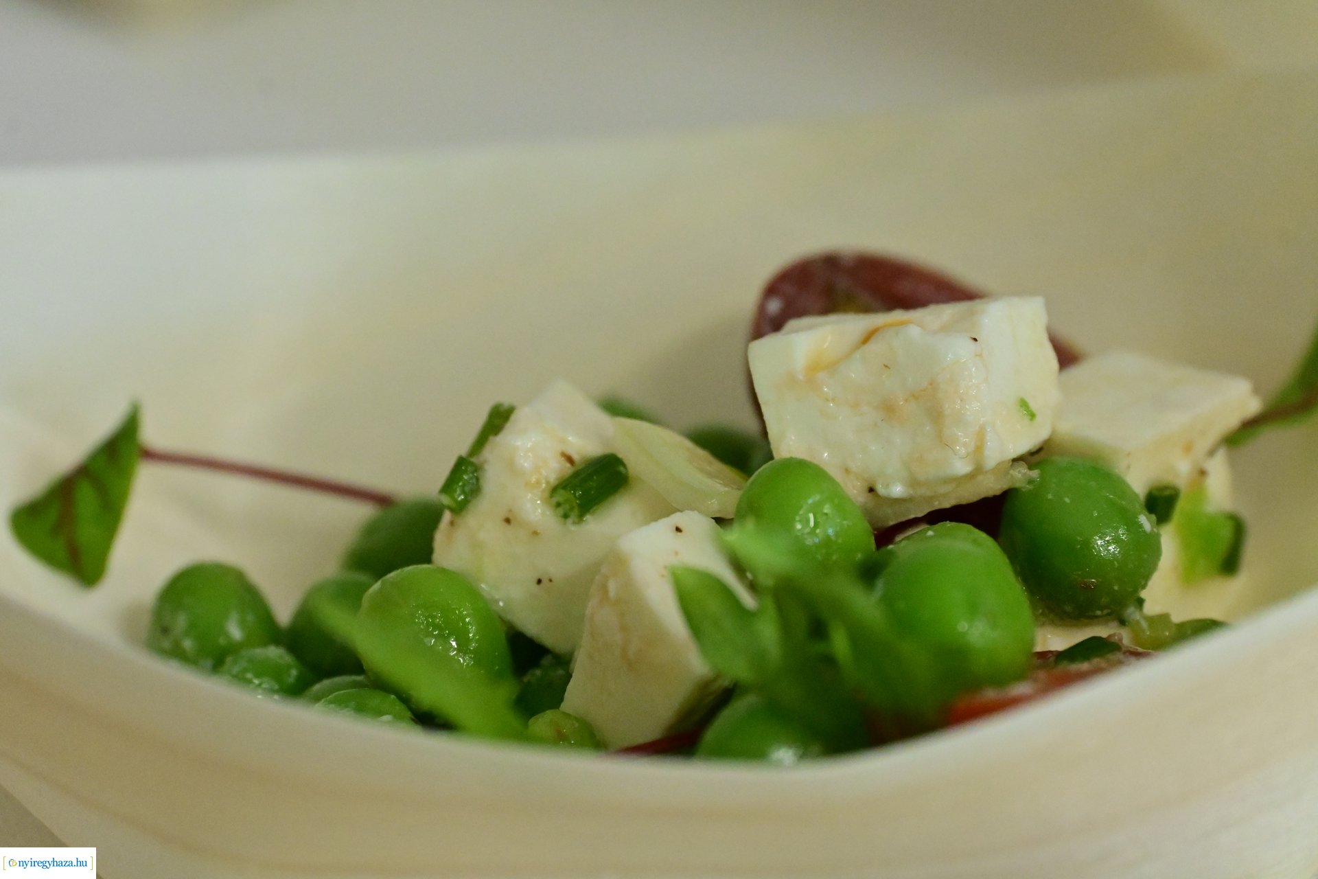 Körkörös gazdálkodás konferencia 2024