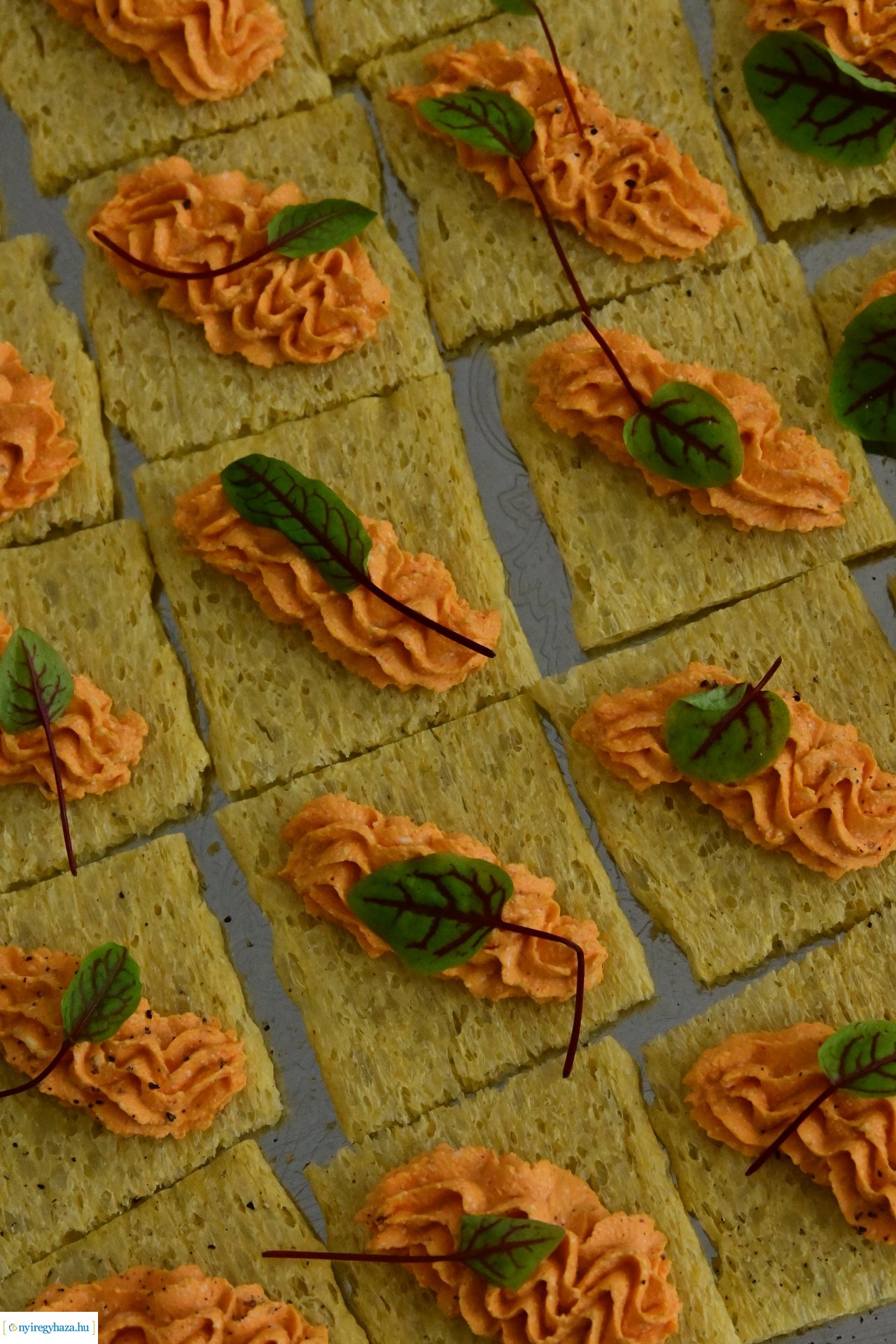 Körkörös gazdálkodás konferencia 2024