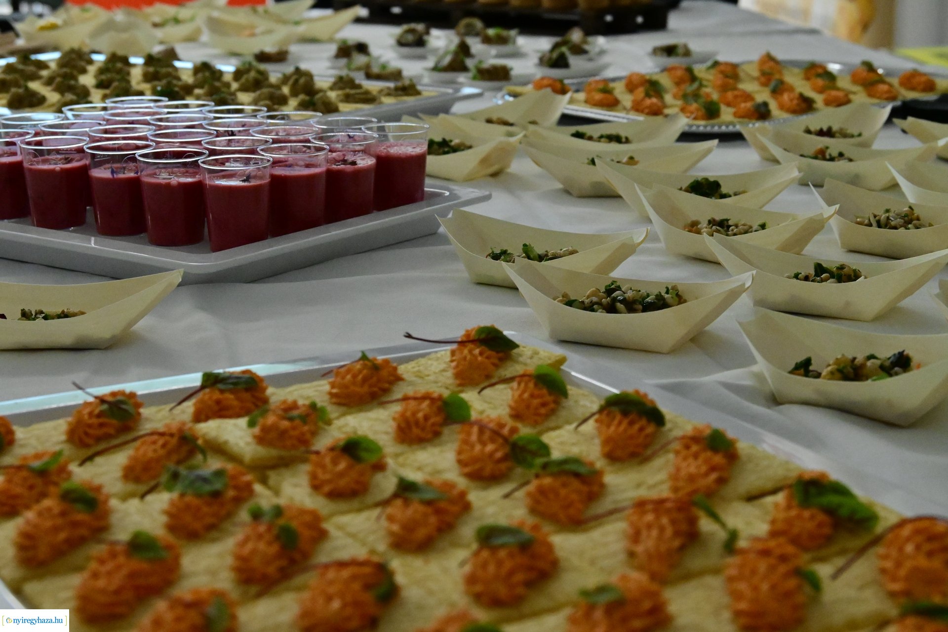 Körkörös gazdálkodás konferencia 2024