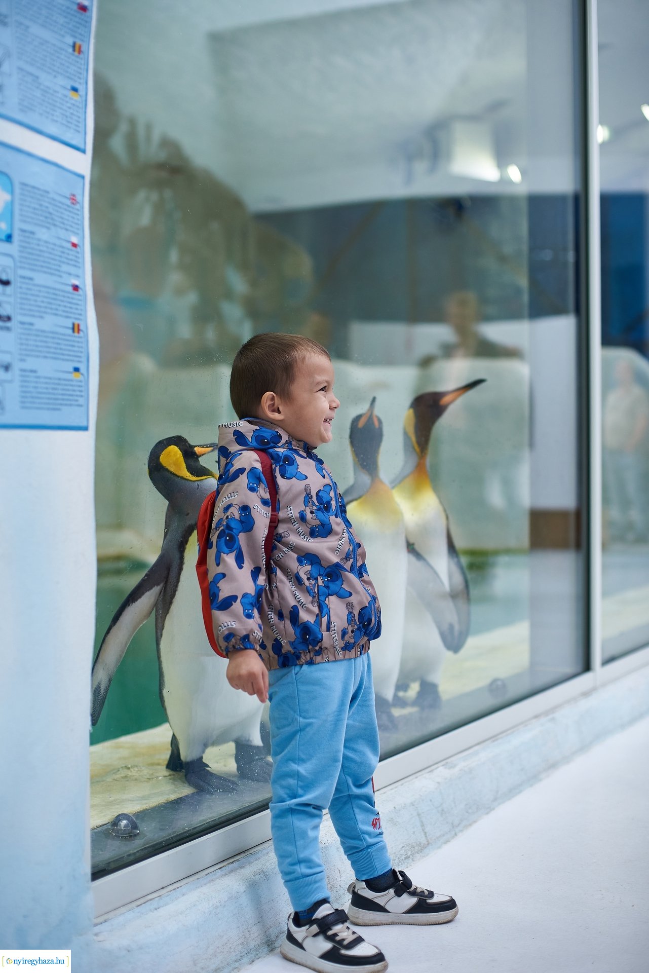 Kormányhivatali Családi Nap 2024