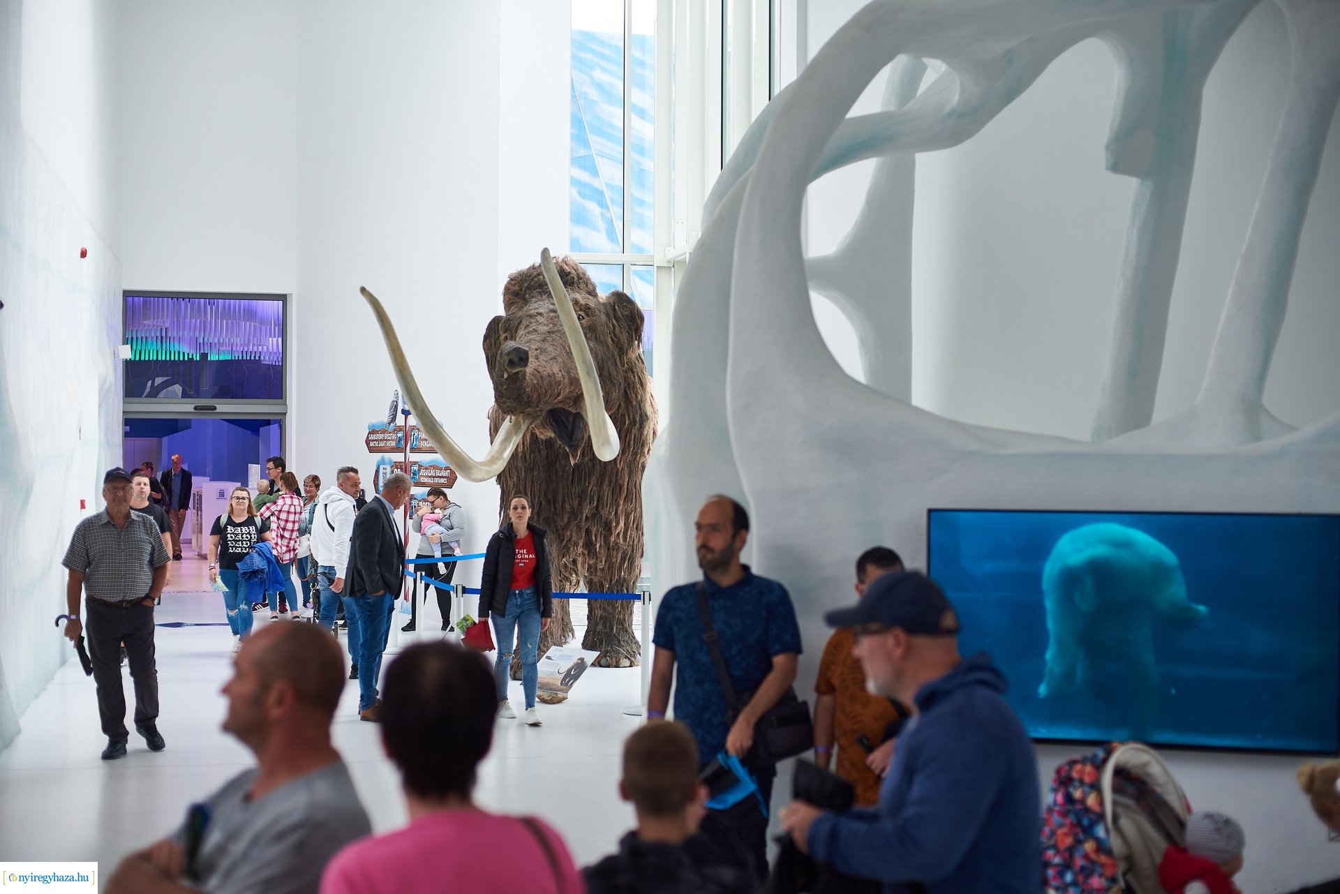 Kormányhivatali Családi Nap 2024