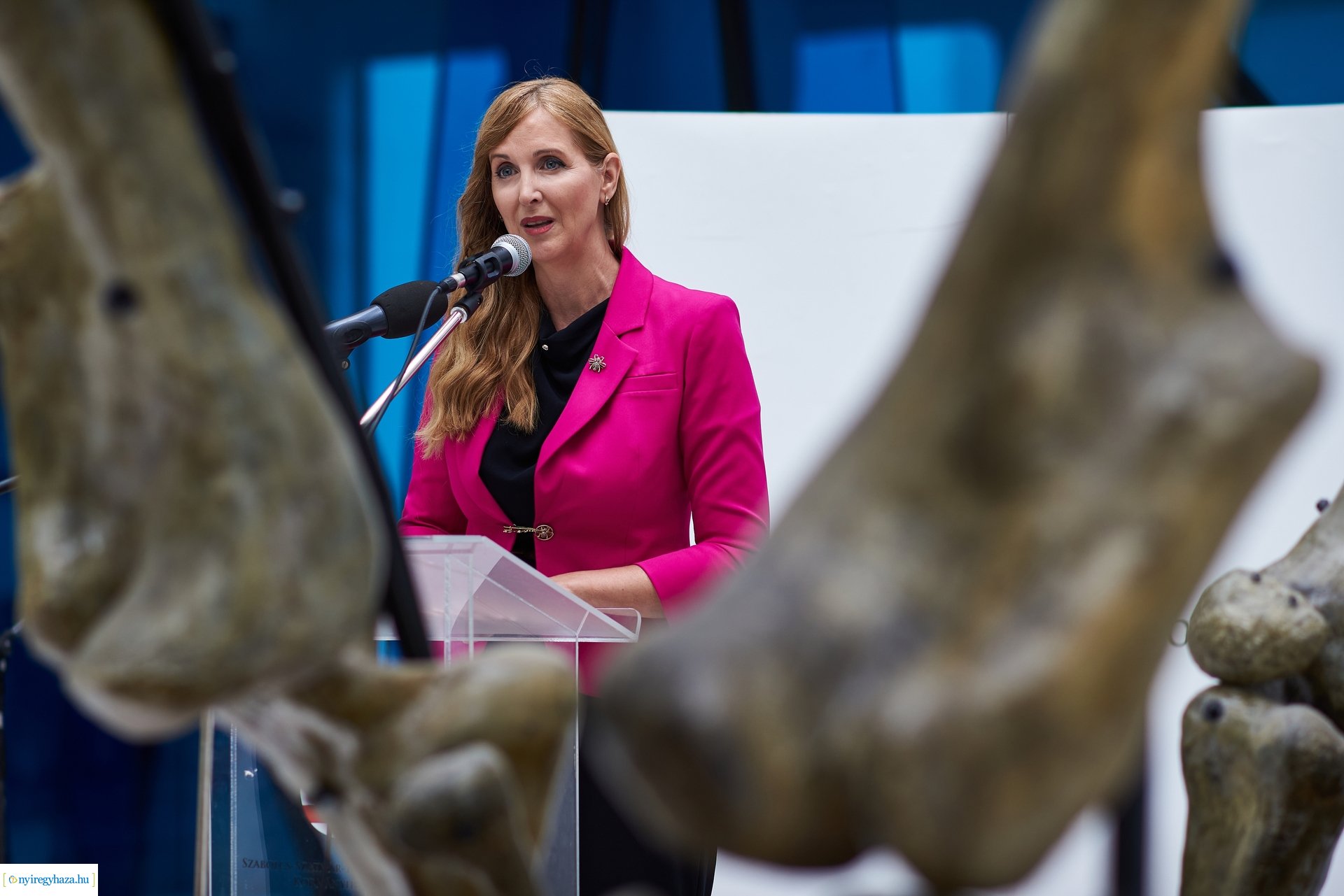 Kormányhivatali Családi Nap 2024