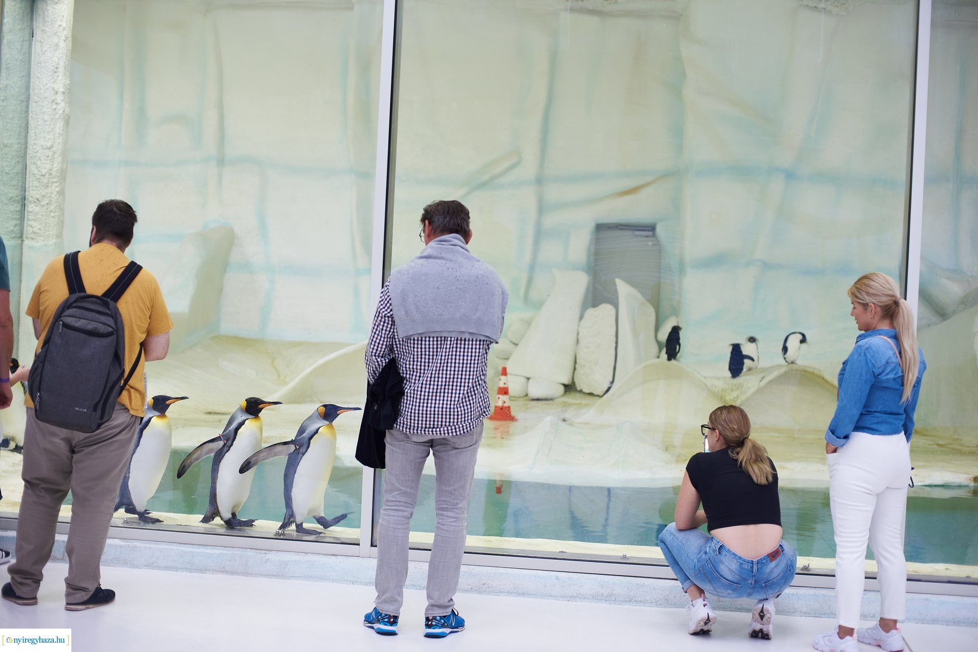 Kormányhivatali Családi Nap 2024