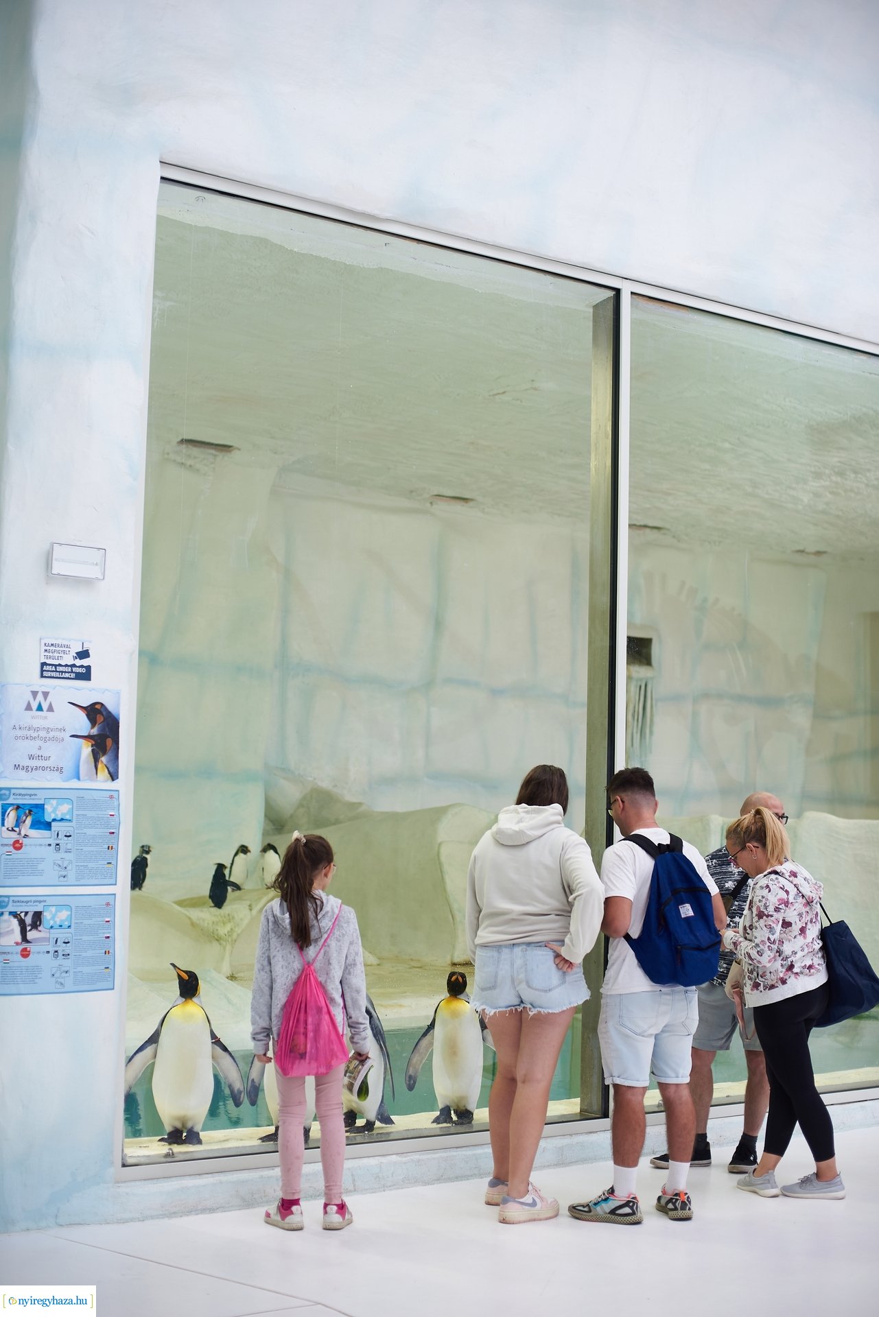 Kormányhivatali Családi Nap 2024