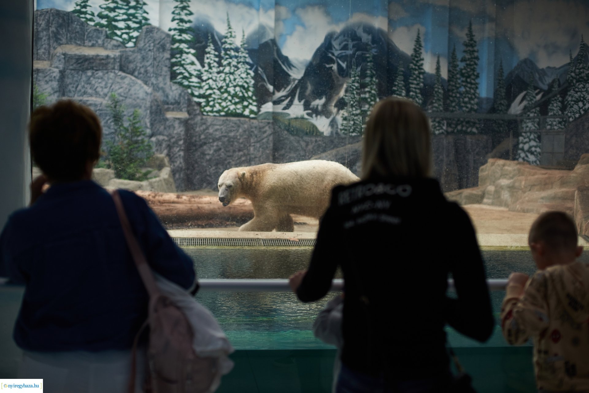 Kormányhivatali Családi Nap 2024