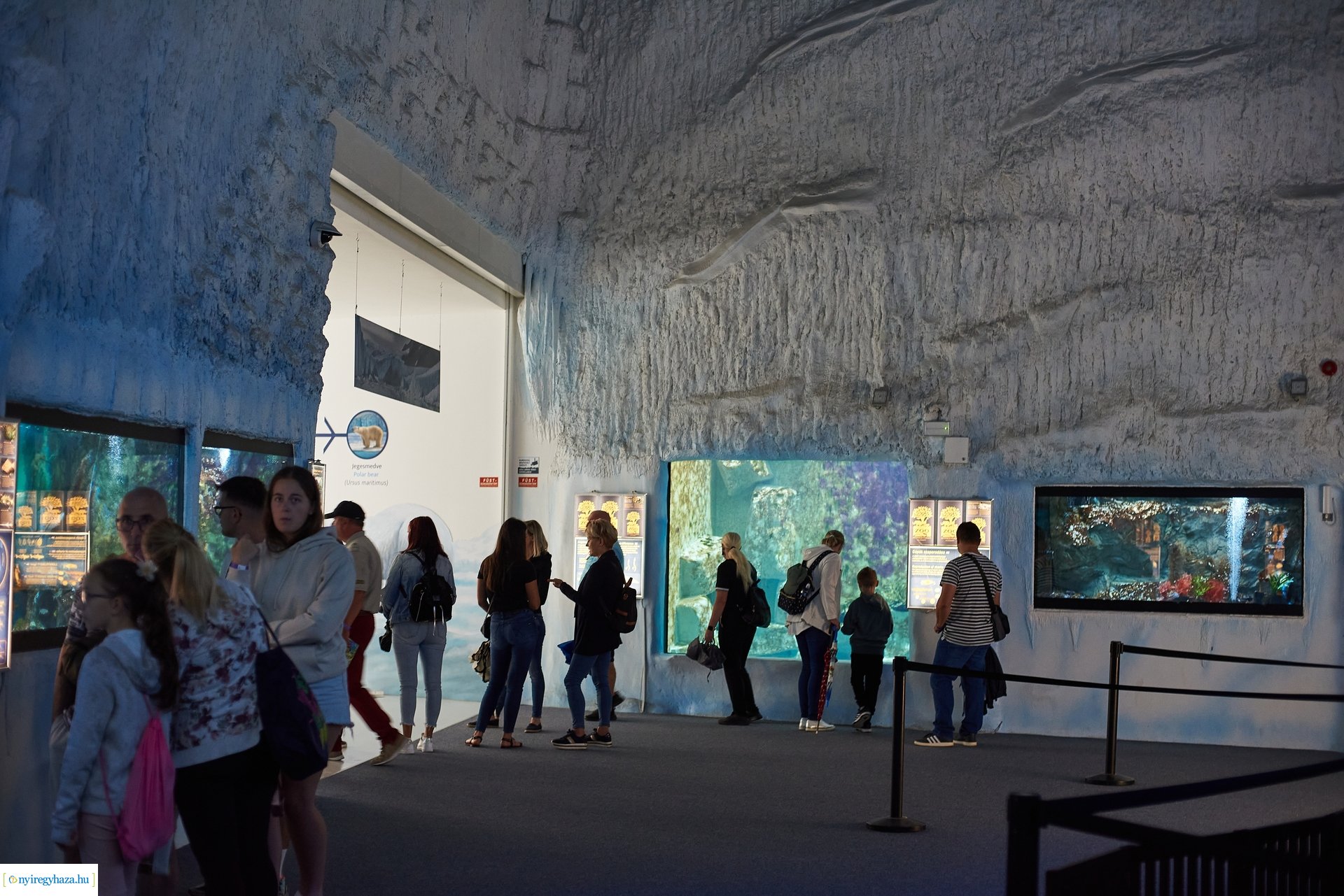 Kormányhivatali Családi Nap 2024