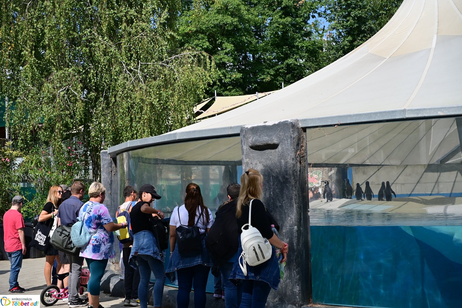 Kormányhivatali családi nap 2025