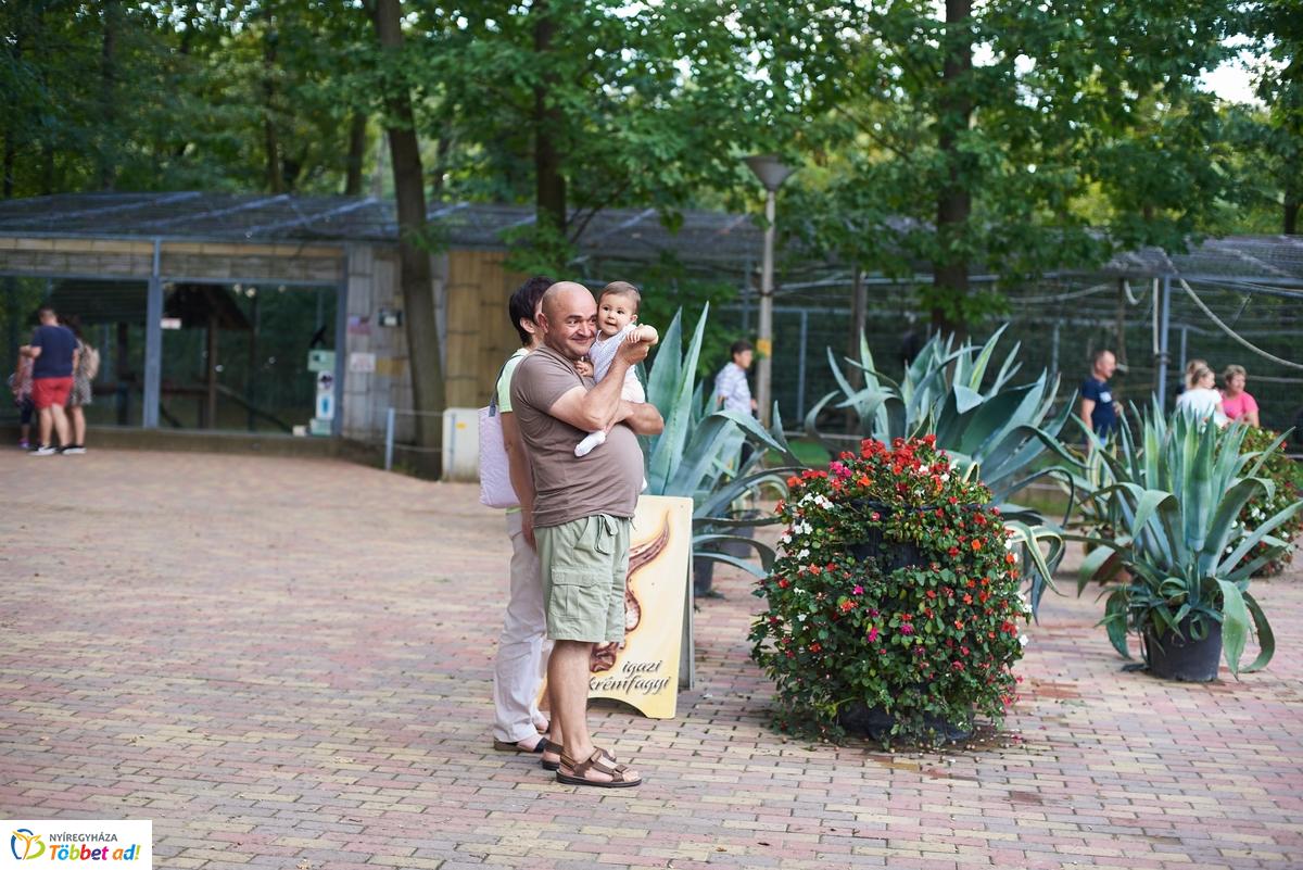 Kormányhivatali Családi Nap az Állatparkban