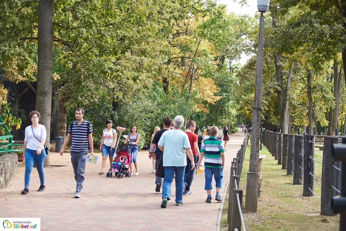 Kormányhivatali Családi Nap az Állatparkban