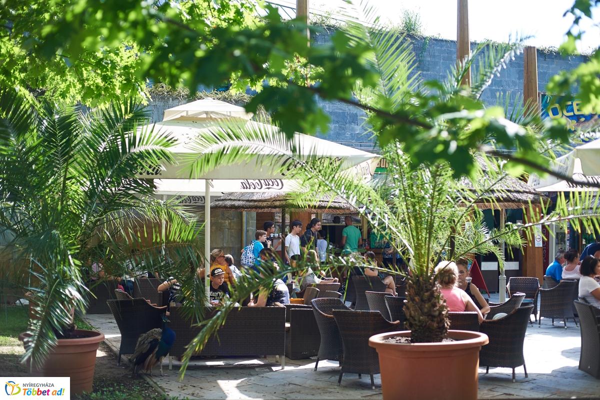 Kormányhivatali Családi Nap az Állatparkban