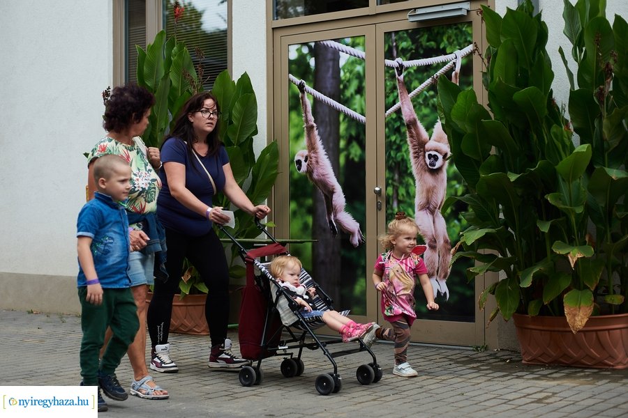 Kormányhivatali dolgozók családi napja 2023