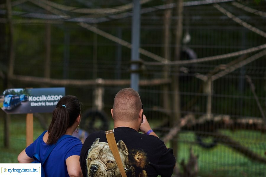 Kormányhivatali dolgozók családi napja 2023