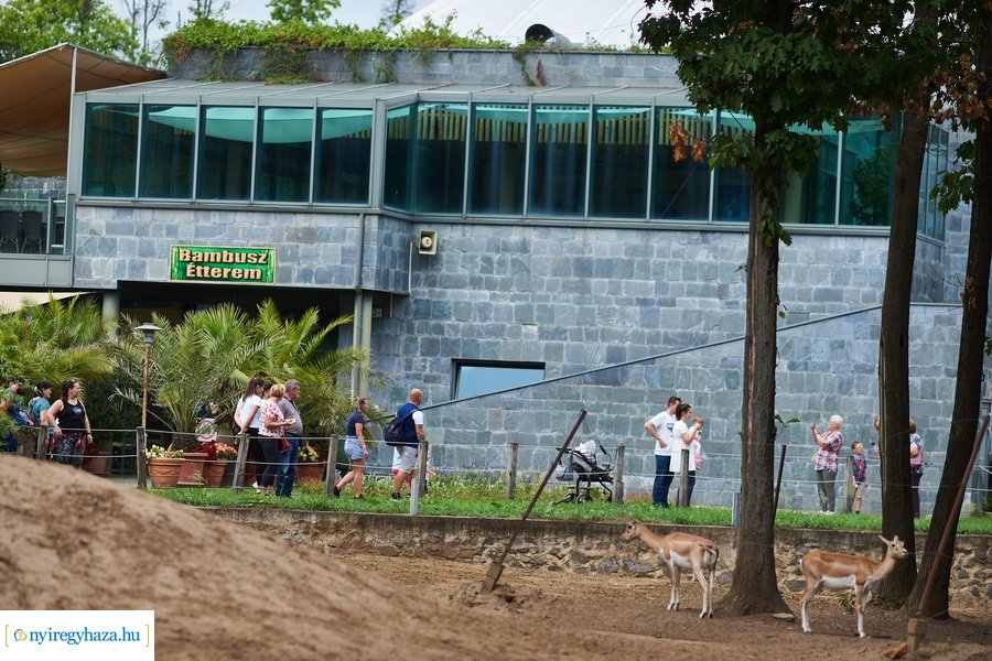 Kormányhivatali dolgozók családi napja 2023