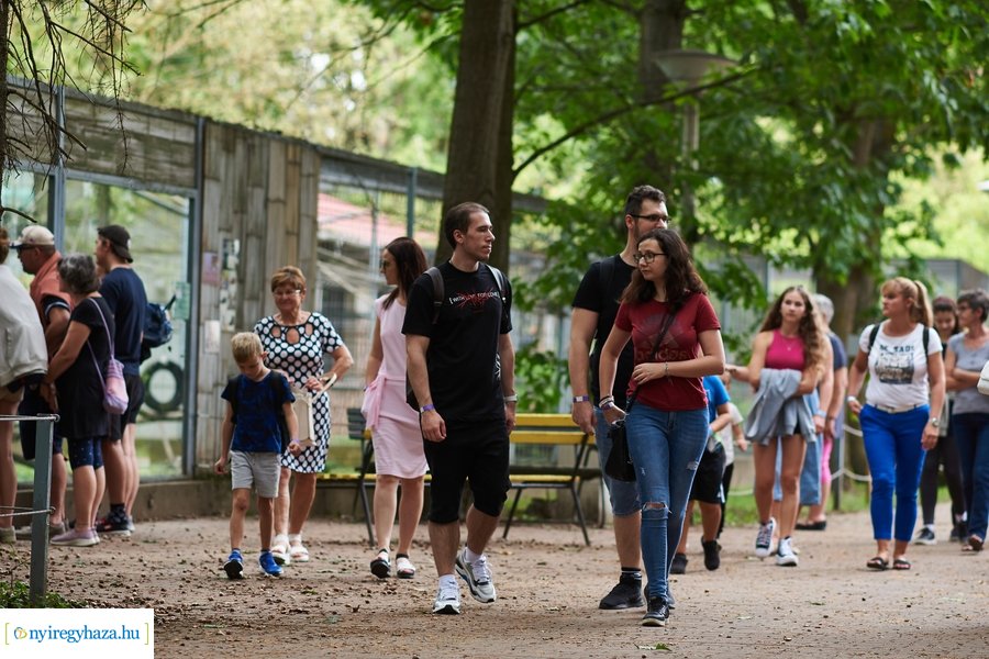 Kormányhivatali dolgozók családi napja 2023