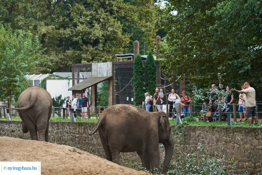 Kormányhivatali dolgozók családi napja 2023