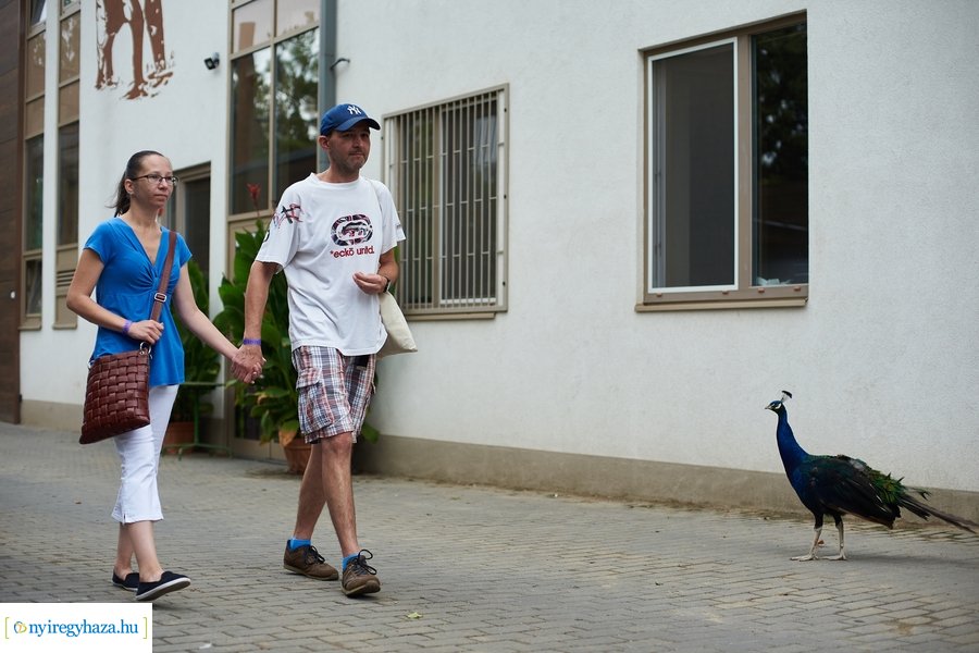 Kormányhivatali dolgozók családi napja 2023