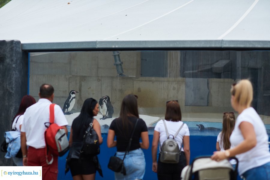 Kormányhivatali dolgozók családi napja 2023