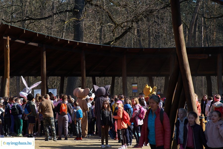 Környezetvédelmi fesztivál az Erdei Tornapályán