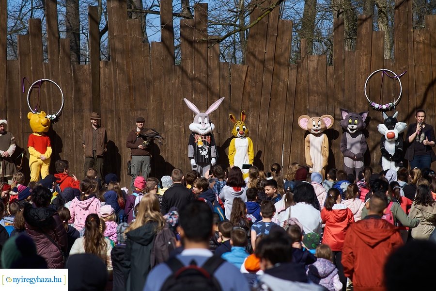 Környezetvédelmi fesztivál az Erdei Tornapályán