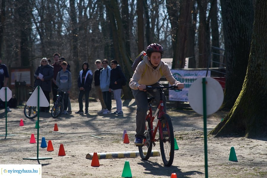 Környezetvédelmi fesztivál az Erdei Tornapályán