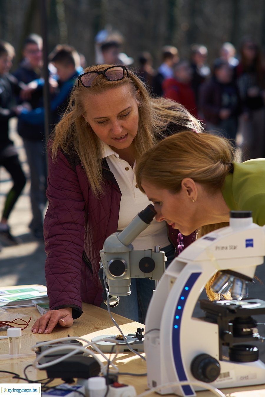 Környezetvédelmi fesztivál az Erdei Tornapályán