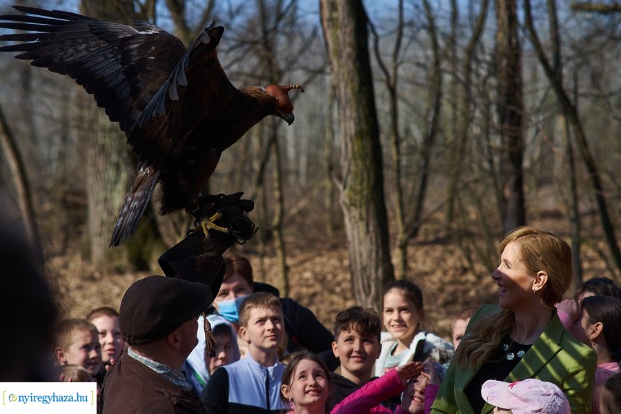 Környezetvédelmi fesztivál az Erdei Tornapályán