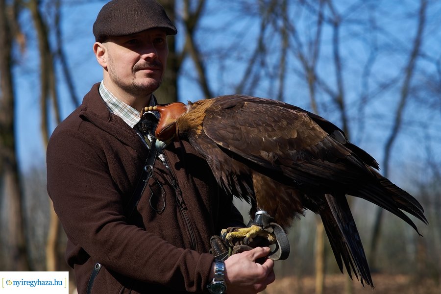 Környezetvédelmi fesztivál az Erdei Tornapályán
