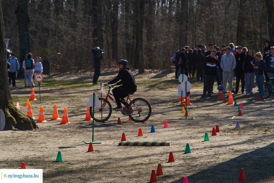 Környezetvédelmi fesztivál az Erdei Tornapályán