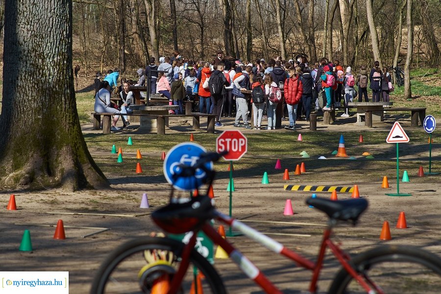 Környezetvédelmi fesztivál az Erdei Tornapályán
