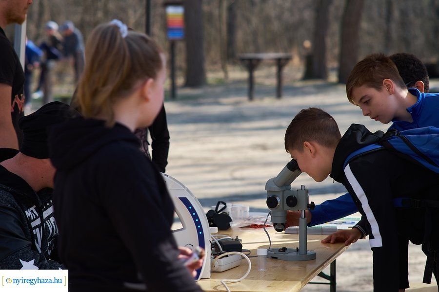 Környezetvédelmi fesztivál az Erdei Tornapályán