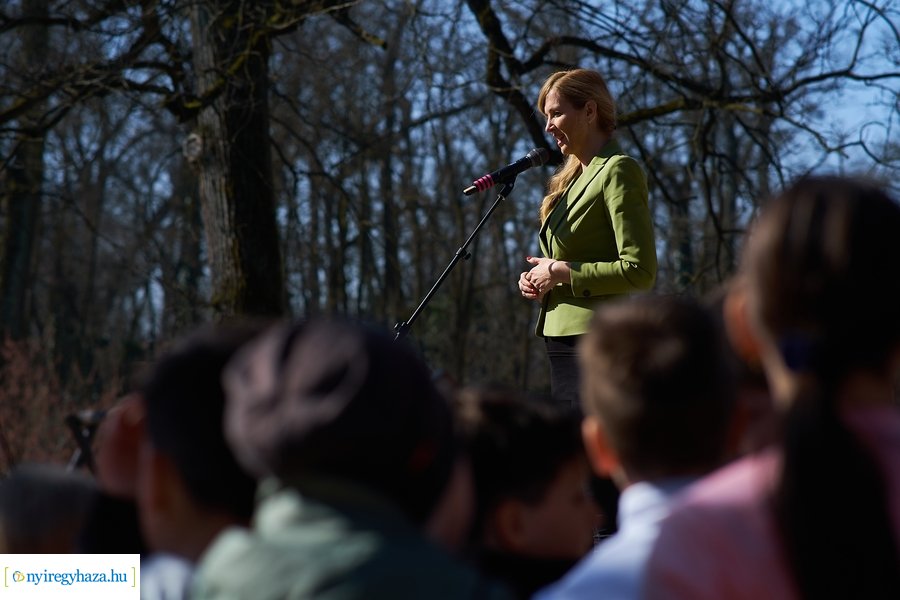 Környezetvédelmi fesztivál az Erdei Tornapályán