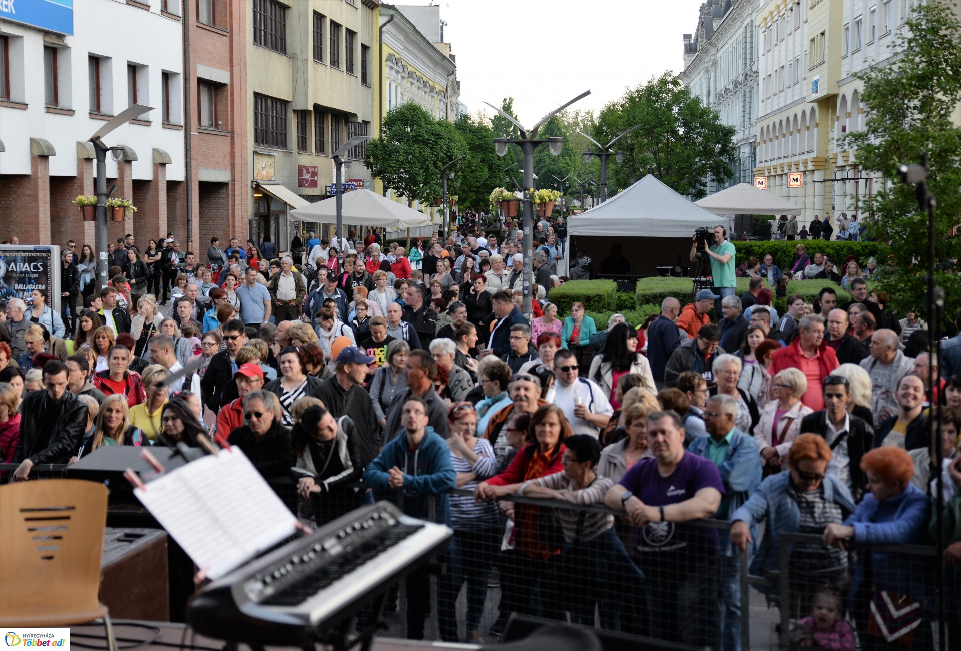 Korzó születésnap