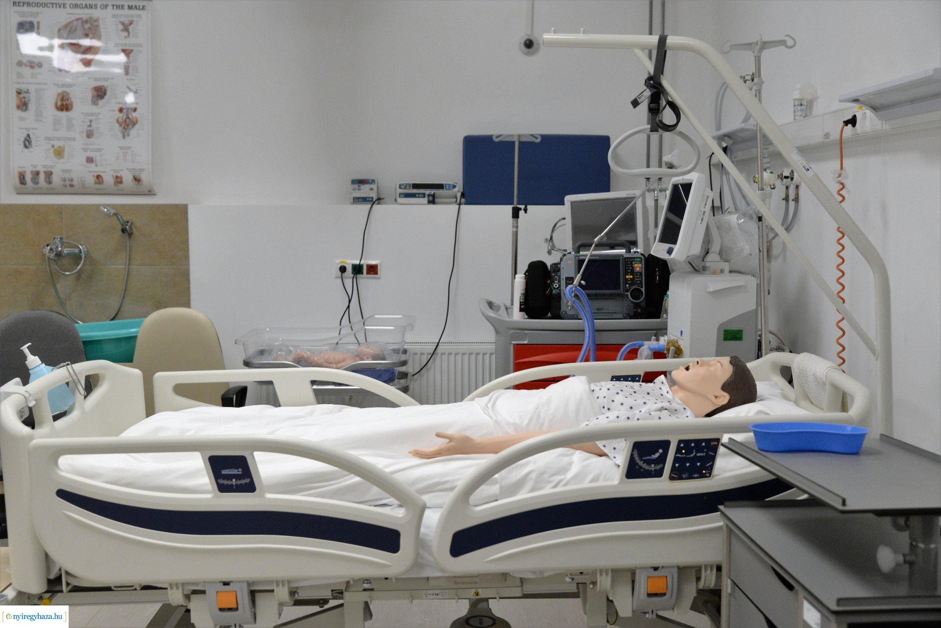 Kossuth Zsuzsanna Nemzeti Egészségügyi Szakképzési Verseny középiskolásoknak