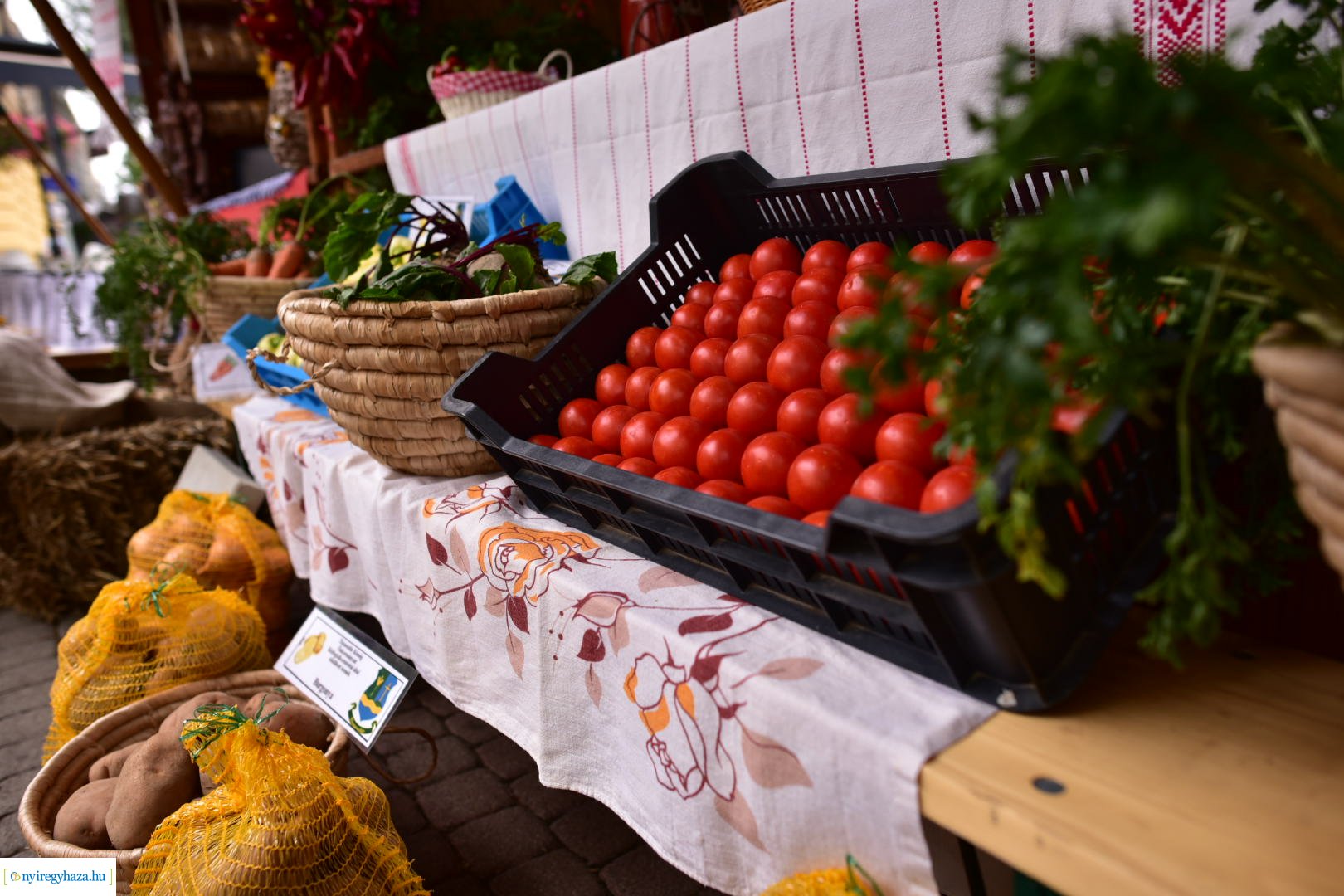 Közfoglalkoztatási Kiállítás 2024