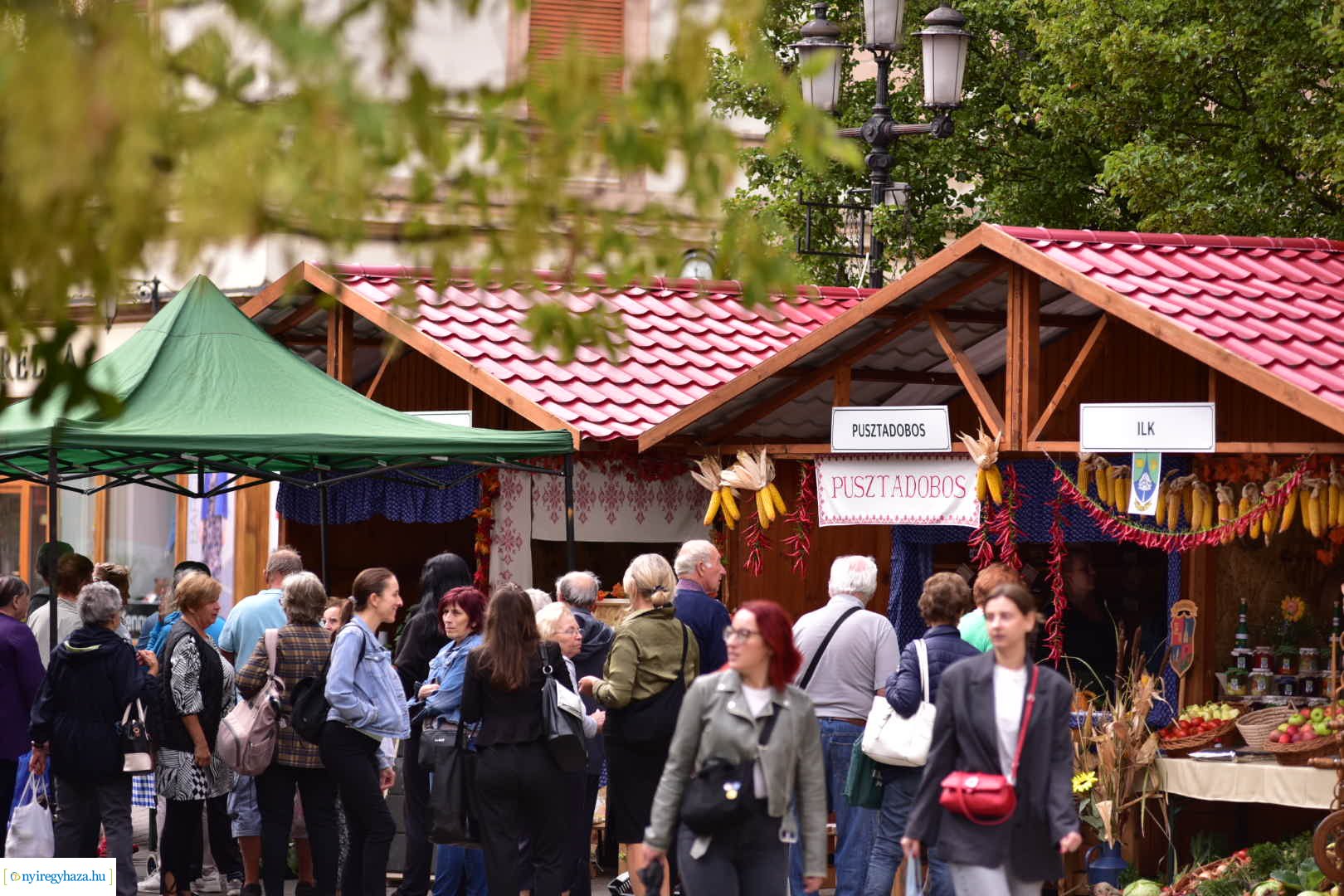 Közfoglalkoztatási Kiállítás 2024