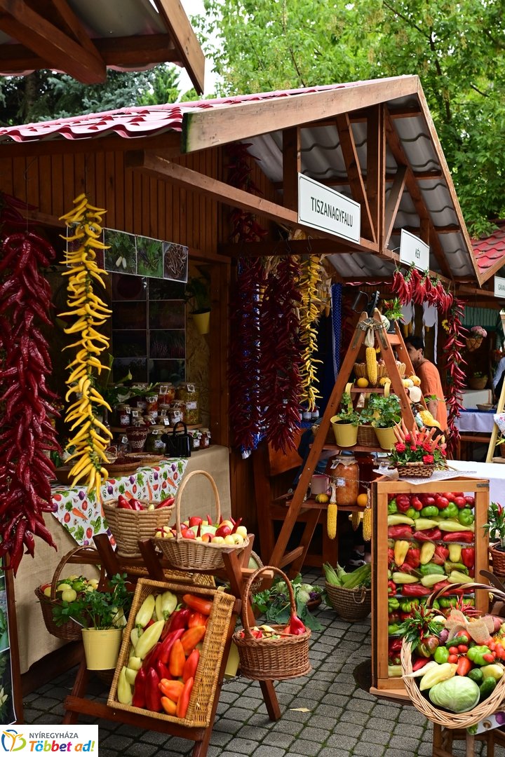 Közfoglalkoztatási kiállítás 2025