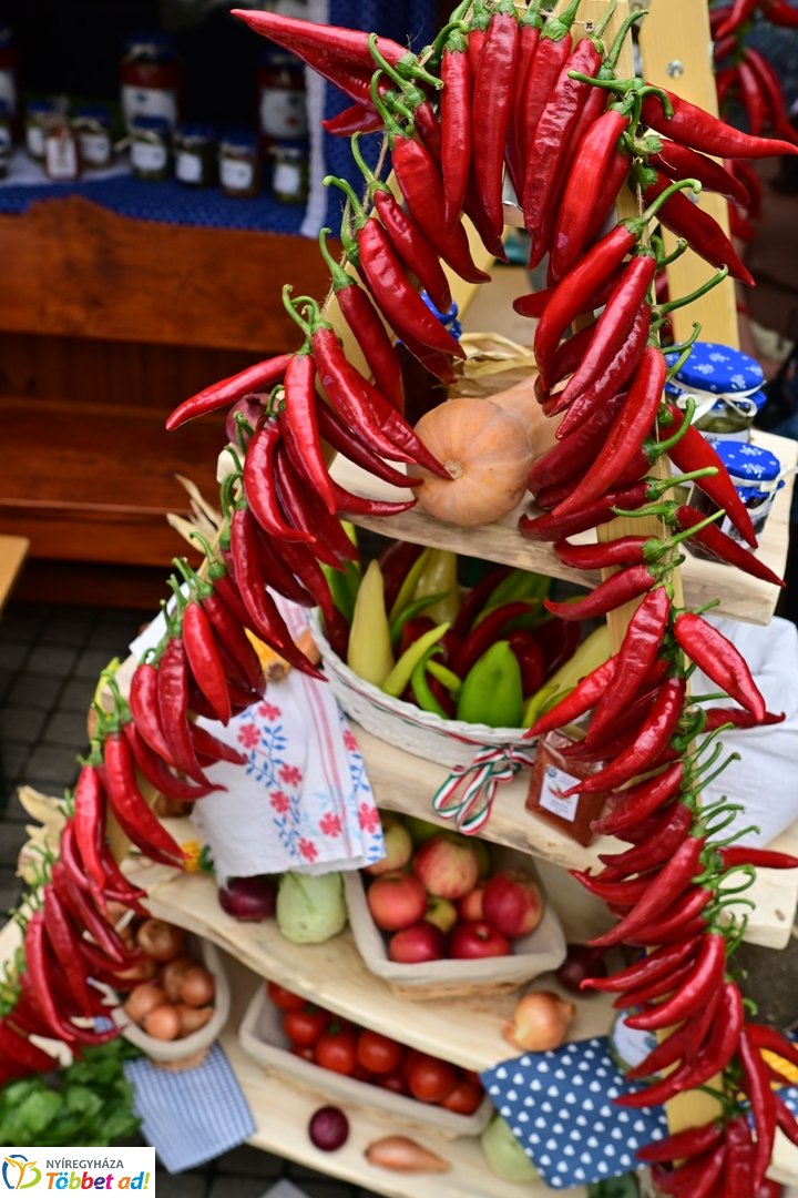 Közfoglalkoztatási kiállítás 2025