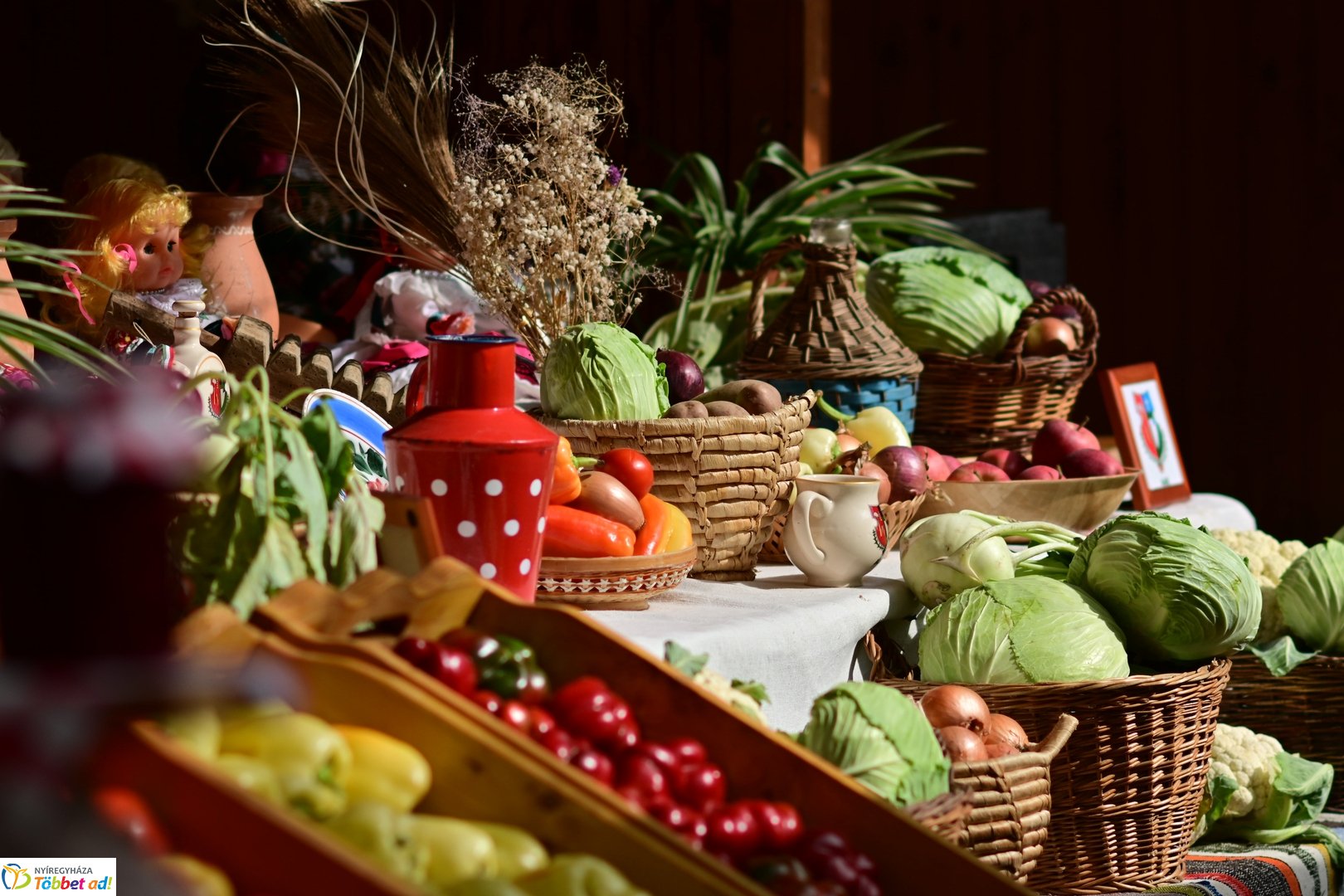 Közfoglalkoztatási kiállítás 2025