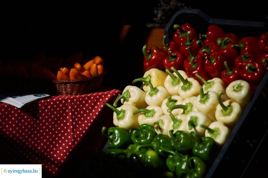 Közfoglalkoztatási Kiállítás és Vásár 2023