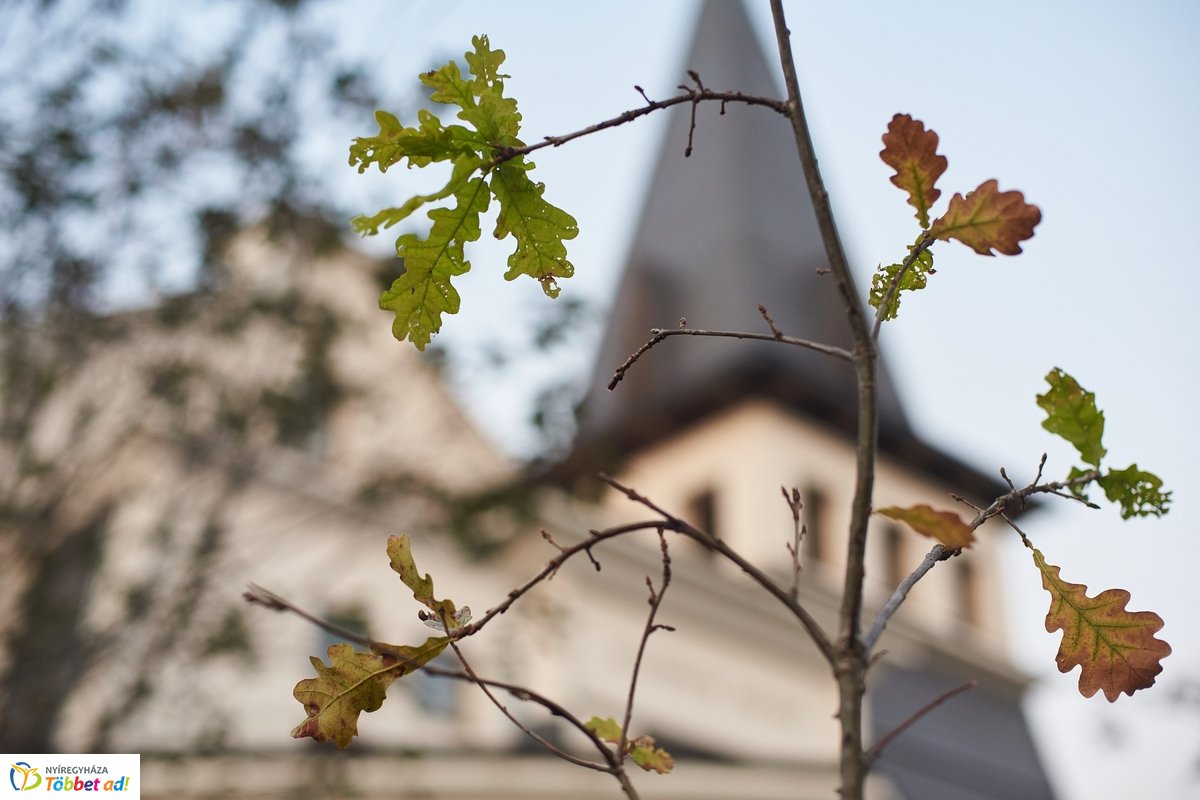Közös gyökereink és a megváltás fénye - 2019