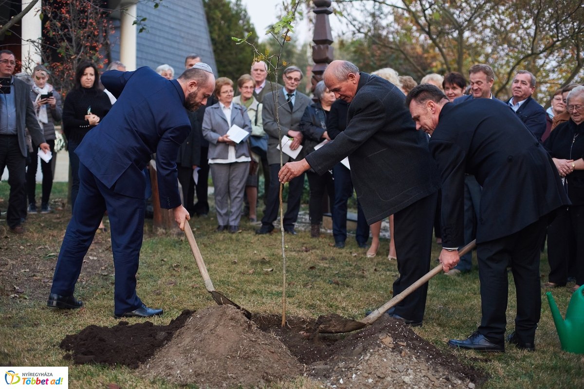 Közös gyökereink és a megváltás fénye - 2019