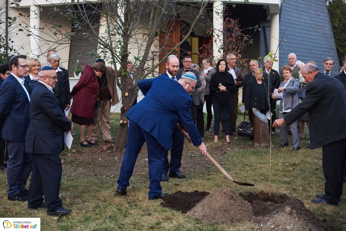 Közös gyökereink és a megváltás fénye - 2019
